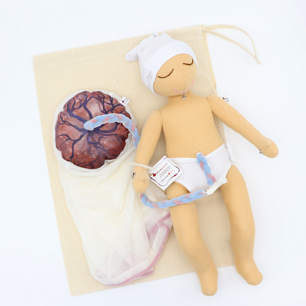 NEW Childbirth Education Cloth Model Sets