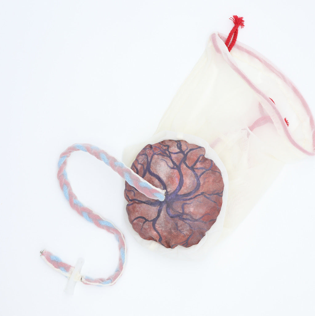 PLACENTA/CORD/AMNION/CHORION CLOTH MODEL