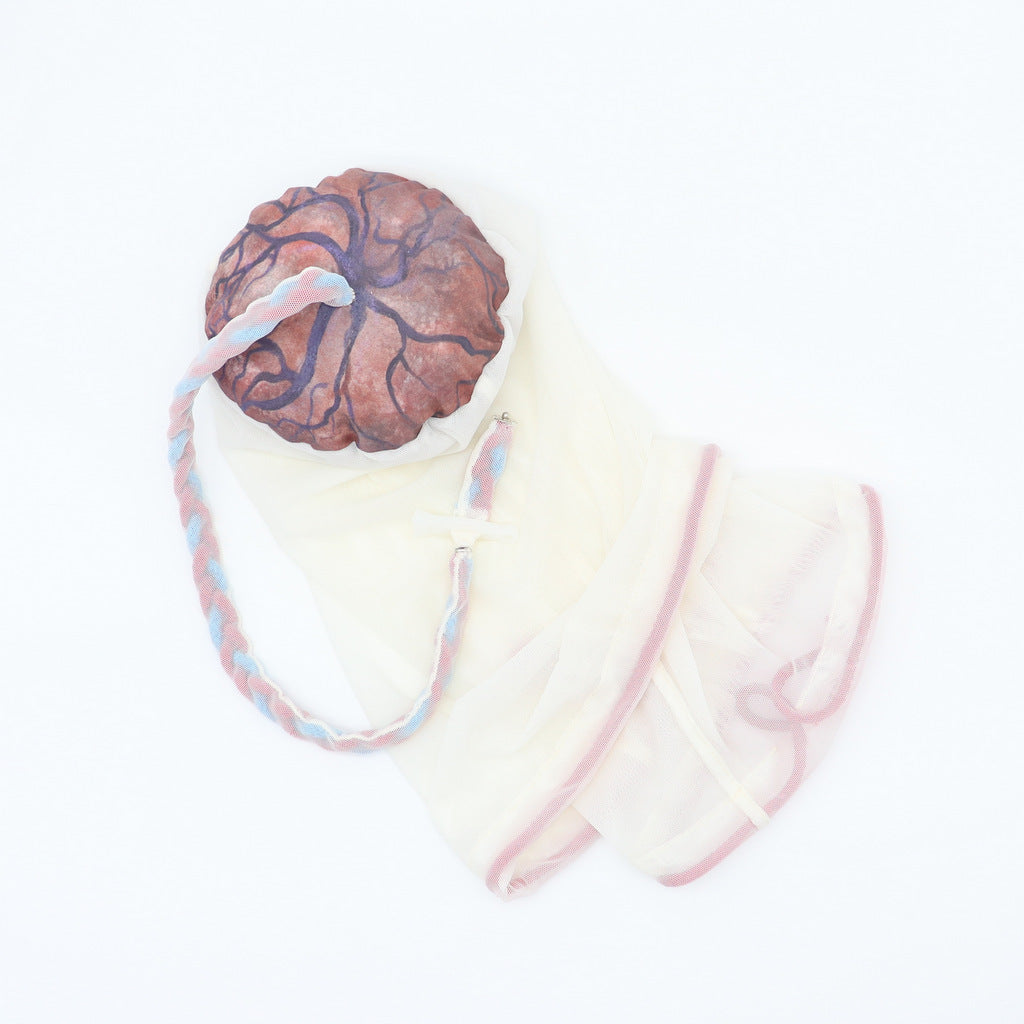 拙作「Placenta」 PLACENTA/CORD/AMNION/CHORION CLOTH MODEL - MamAmor Dolls