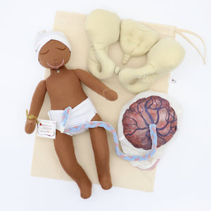 CLOTH PELVIS/NEWBORN BABY DOLL/PLACENTA MODEL SET
