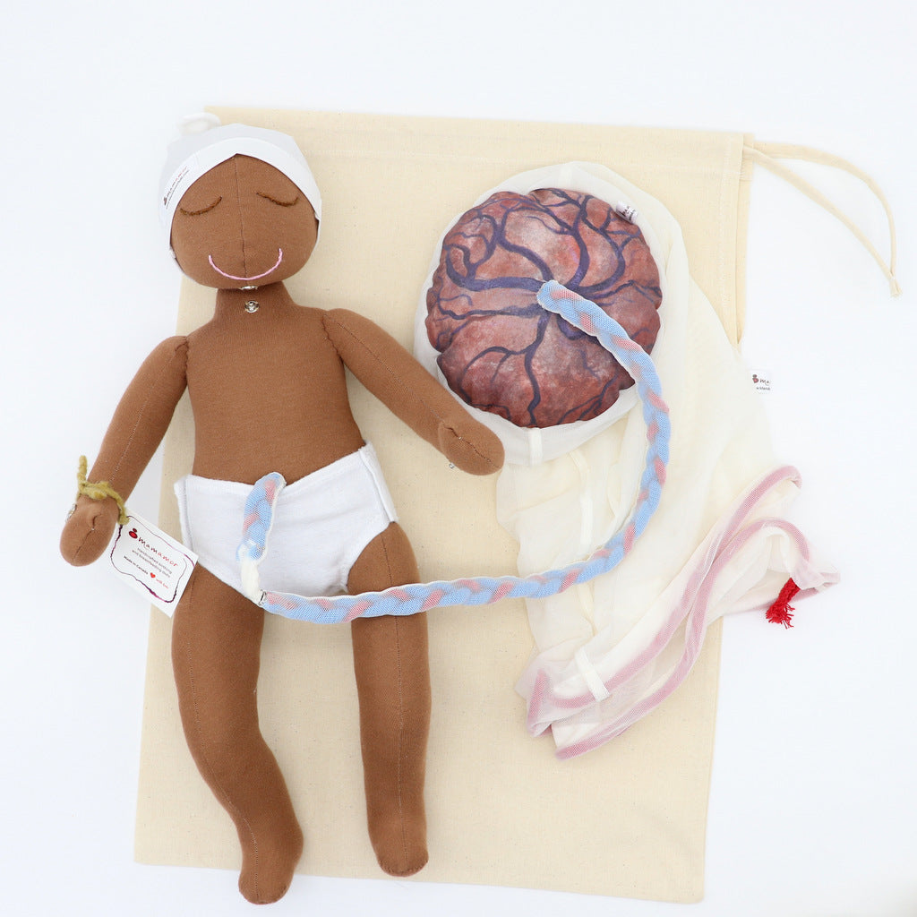 NEWBORN BABY DOLL/PLACENTA MODEL SET